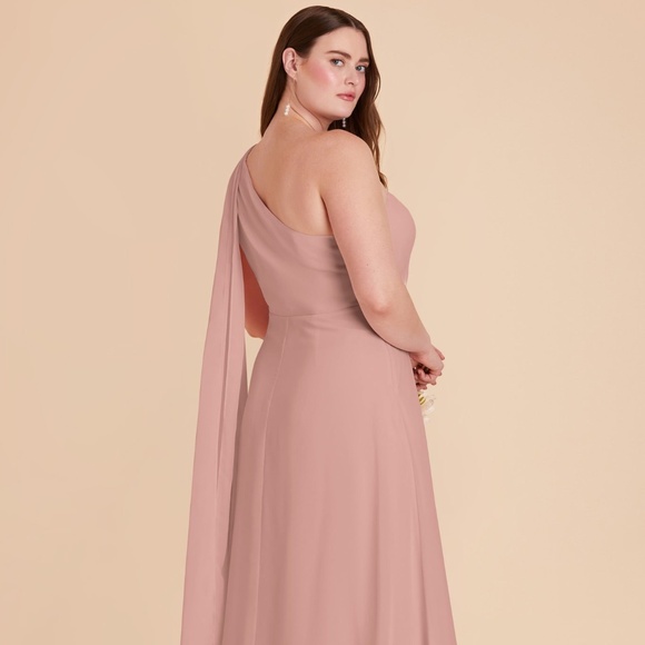 Birdy Grey Melissa Dress Chiffon English Rose - Picture 7 of 11